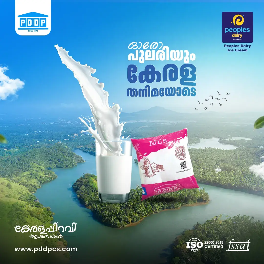 Big Frame Media creative 6